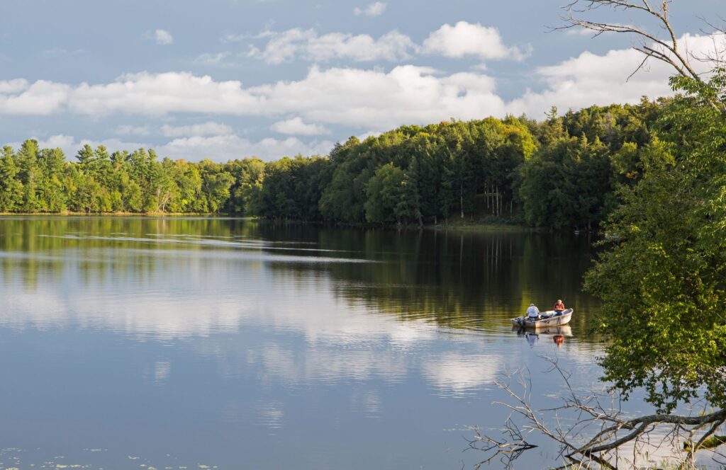 calm lake surrounded by trees with people fishing from a boat